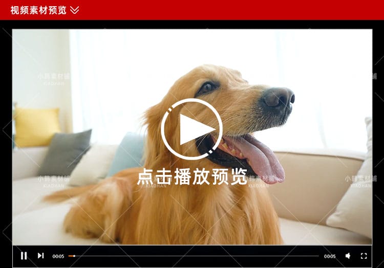 小狗可爱动物横版高清抖音自媒体pr剪辑背景视频素材