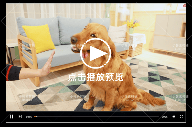 小狗可爱动物横版高清抖音自媒体pr剪辑背景视频素材