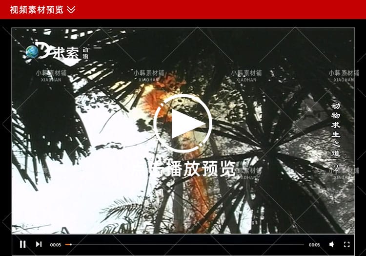 探索频道生命探索纪录片动物求生之道中视频自媒体解说视频素材