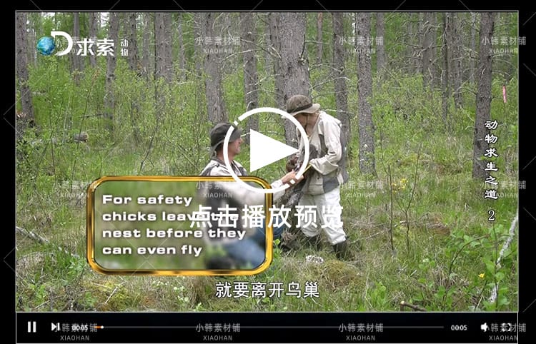 探索频道生命探索纪录片动物求生之道中视频自媒体解说视频素材