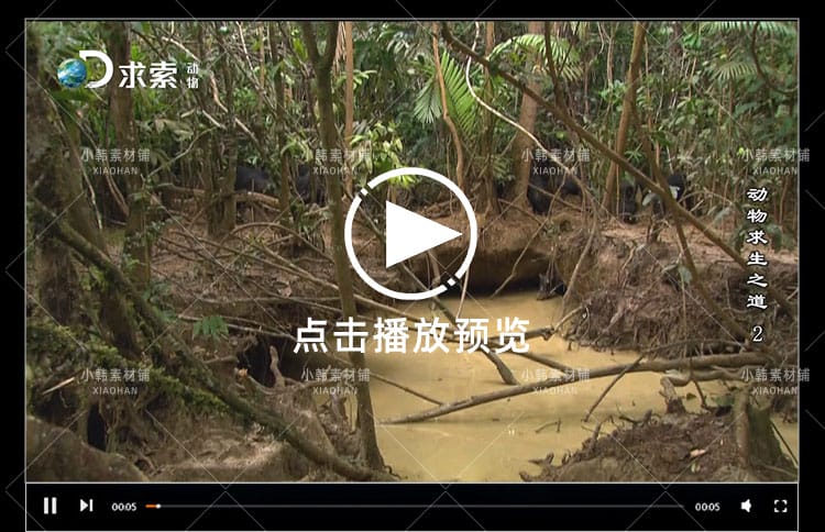探索频道生命探索纪录片动物求生之道中视频自媒体解说视频素材