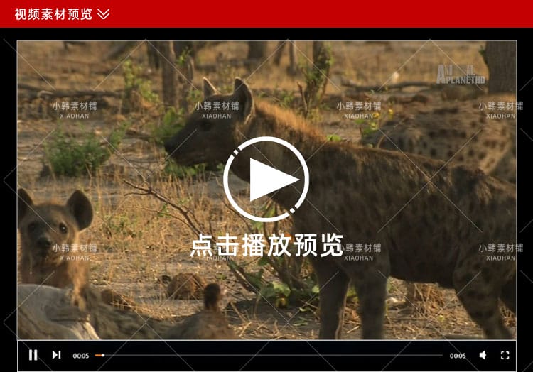野生动物纪录片非洲野生大地中视频自媒体解说高清剪辑视频素材