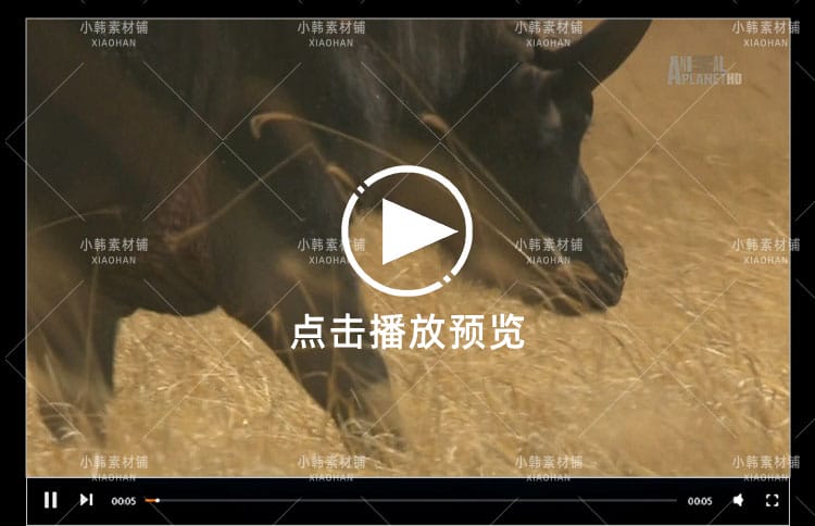 野生动物纪录片非洲野生大地中视频自媒体解说高清剪辑视频素材