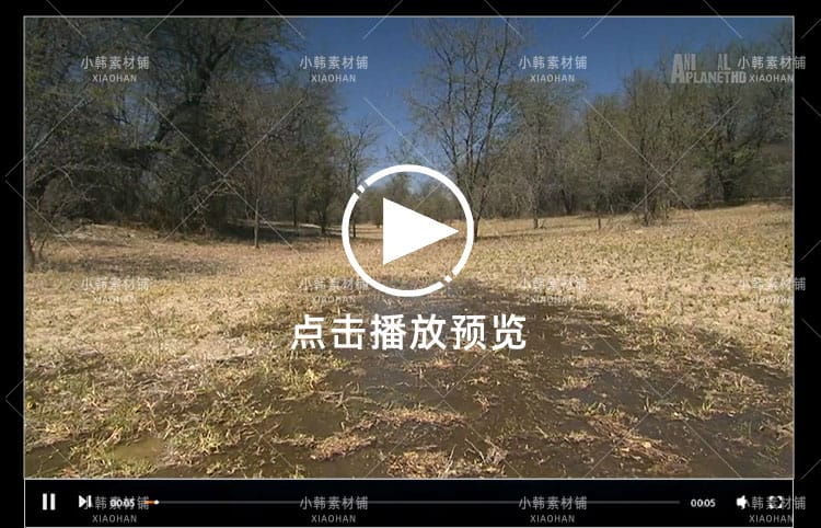 野生动物纪录片非洲野生大地中视频自媒体解说高清剪辑视频素材