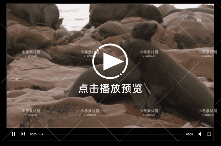 野生动物纪录片非洲野生大地中视频自媒体解说高清剪辑视频素材