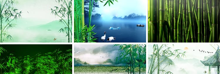 竹林竹子绿竹水墨山水古风苗族山歌傣族舞蹈舞台LED背景视频素材