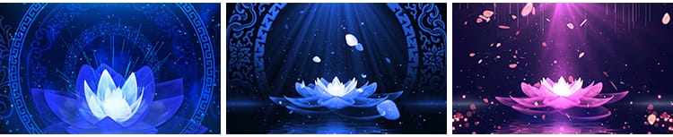 梦幻蓝色夜色莲花粒子金色荷花瓣唯美LED大屏幕舞台背景视频素材