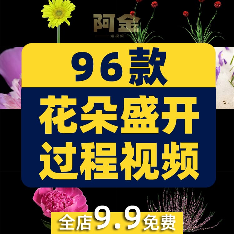 花朵盛开过程万物生长春天鲜花植物延时发芽开花盛开实拍视频素材