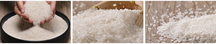 大米特写水稻米饭稻谷长米粒粮食掉落白米抖音自媒体高清视频素材