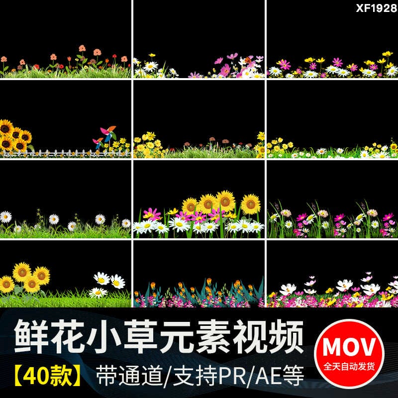 卡通小花草丛元素鲜花朵穿梭向日葵摆动MOV透明通道动态视频素材