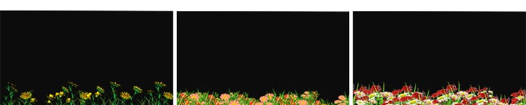 卡通小花草丛元素鲜花朵穿梭向日葵摆动MOV透明通道动态视频素材