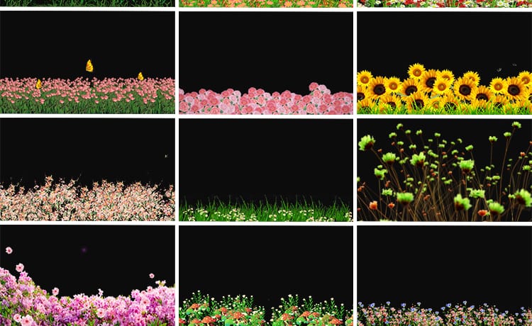 卡通小花草丛元素鲜花朵穿梭向日葵摆动MOV透明通道动态视频素材