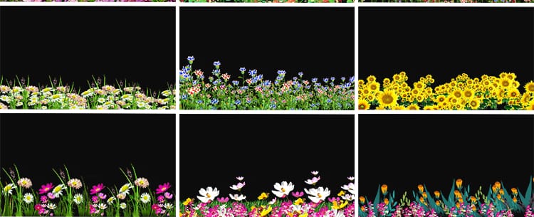 卡通小花草丛元素鲜花朵穿梭向日葵摆动MOV透明通道动态视频素材