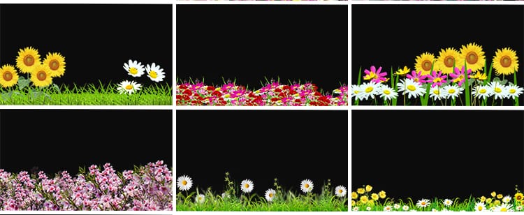 卡通小花草丛元素鲜花朵穿梭向日葵摆动MOV透明通道动态视频素材