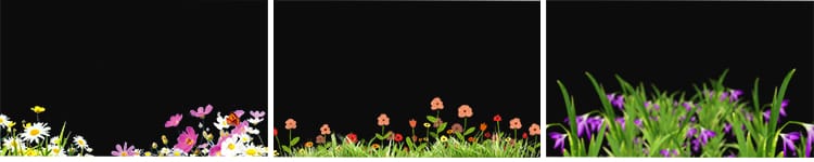 卡通小花草丛元素鲜花朵穿梭向日葵摆动MOV透明通道动态视频素材