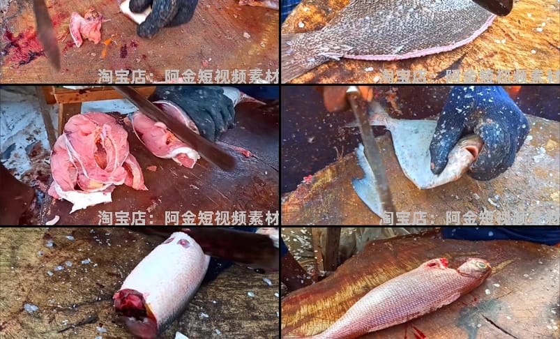 印度街头杀鱼切鱼横屏国外高清直播解压中长视频小说推文素材引流