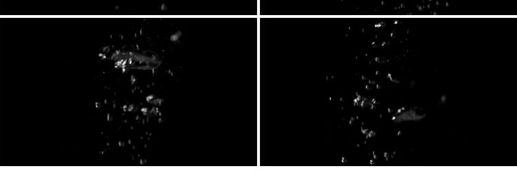 水下海底气泡水底上升水中冒泡动画MOV透明通道pr_ae合成视频素材