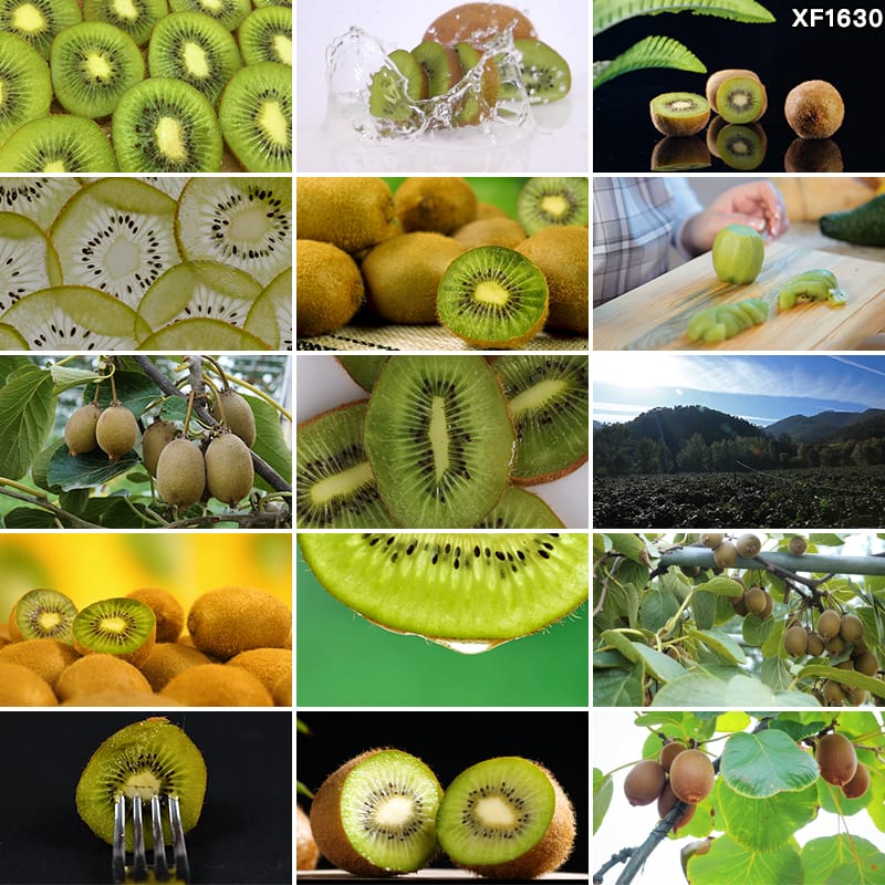 新鲜猕猴桃果园结果种植园奇异果农场切开猕猴桃宣传实拍视频素材