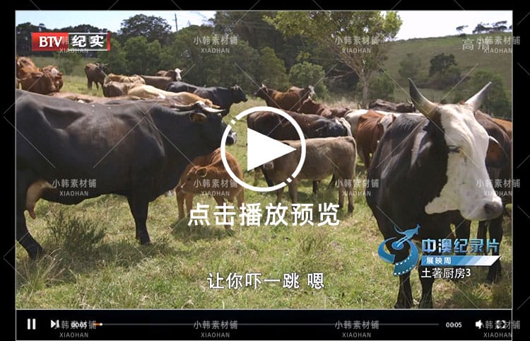 美食纪录片土著厨房全3集中视频自媒体解说高清剪辑视频素材