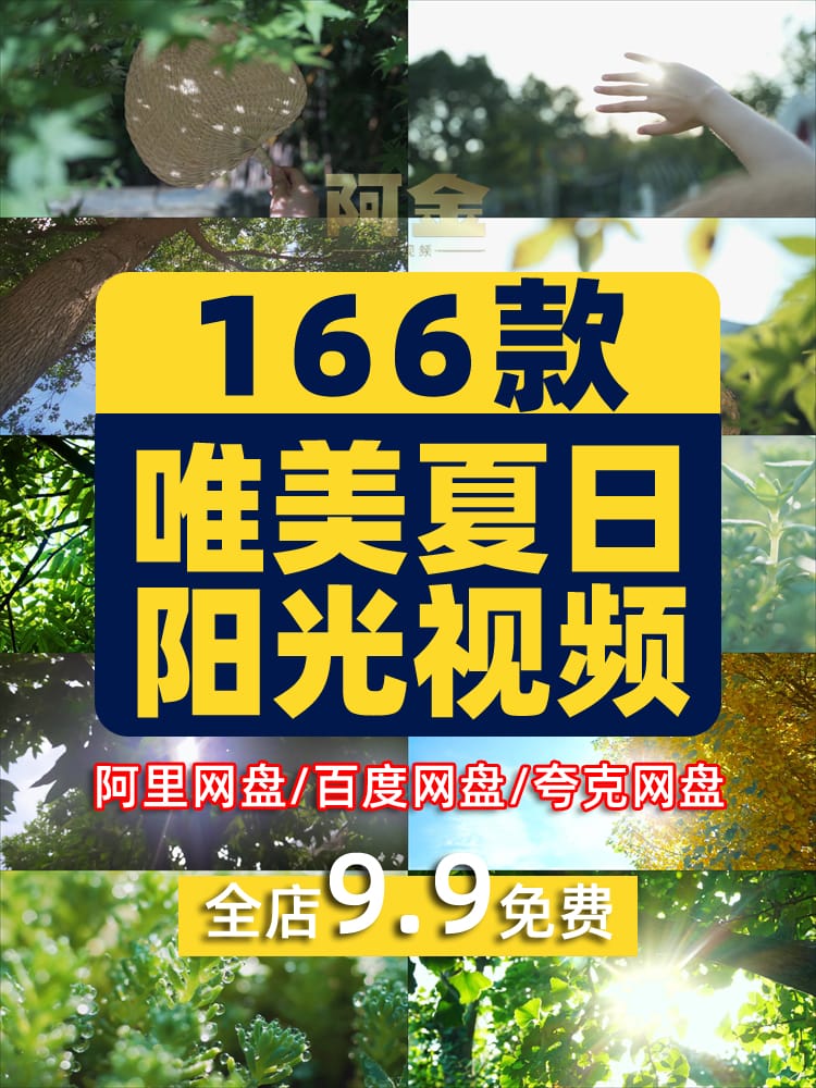 夏日透光阳光大自然空境头实拍唯美树叶背景森林绿叶剪辑视频素材