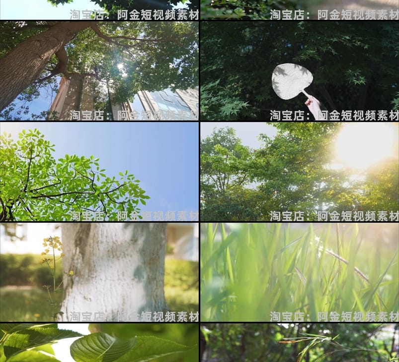 夏日透光阳光大自然空境头实拍唯美树叶背景森林绿叶剪辑视频素材