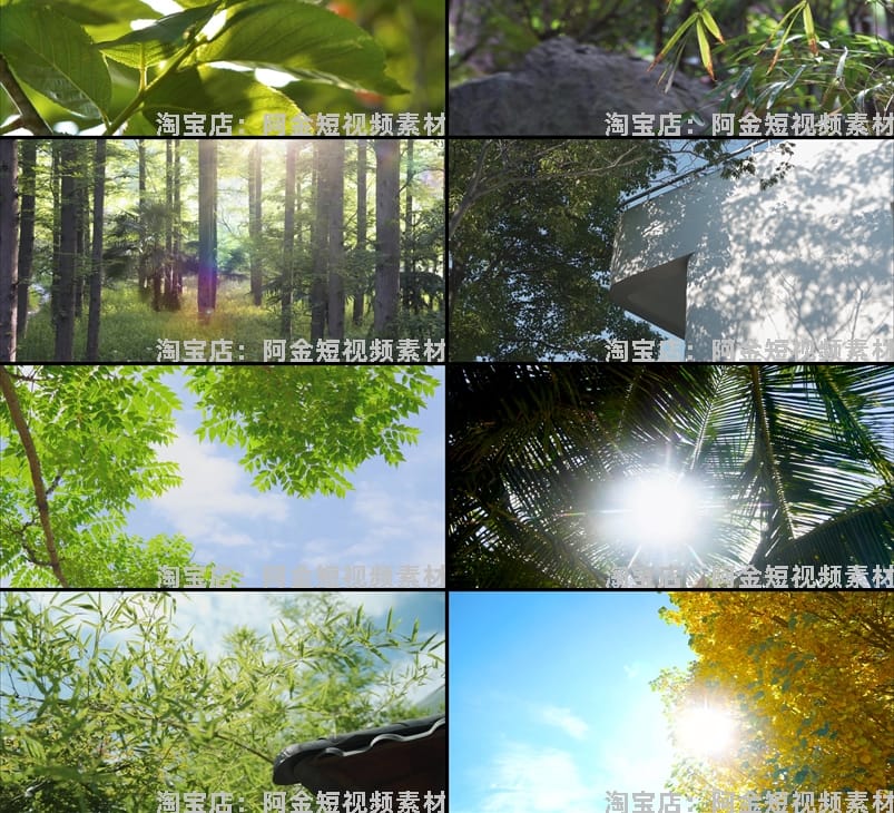 夏日透光阳光大自然空境头实拍唯美树叶背景森林绿叶剪辑视频素材