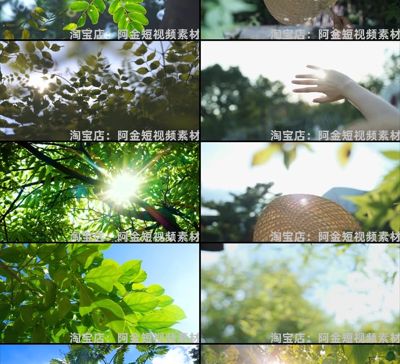 夏日透光阳光大自然空境头实拍唯美树叶背景森林绿叶剪辑视频素材