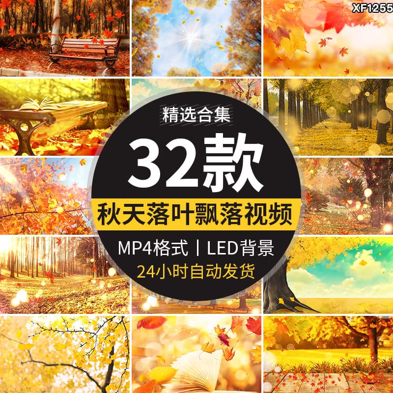 枫叶银杏树叶飘落叶红叶金秋婚礼晚会舞台led大屏幕背景视频素材