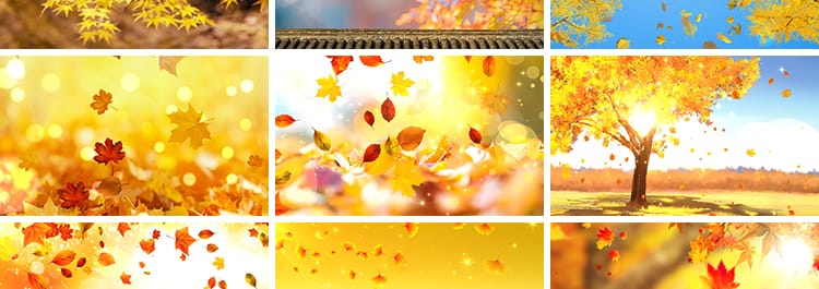 枫叶银杏树叶飘落叶红叶金秋婚礼晚会舞台led大屏幕背景视频素材