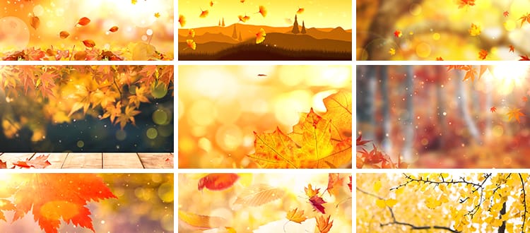 枫叶银杏树叶飘落叶红叶金秋婚礼晚会舞台led大屏幕背景视频素材