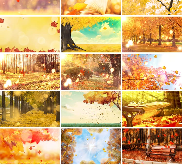 枫叶银杏树叶飘落叶红叶金秋婚礼晚会舞台led大屏幕背景视频素材