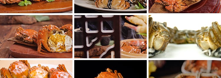 秋季大闸蟹实拍清蒸烹饪新鲜活螃蟹掰开蟹膏蟹黄水产美食视频素材