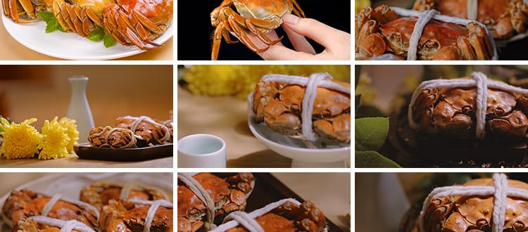 秋季大闸蟹实拍清蒸烹饪新鲜活螃蟹掰开蟹膏蟹黄水产美食视频素材