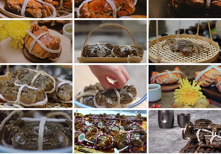 秋季大闸蟹实拍清蒸烹饪新鲜活螃蟹掰开蟹膏蟹黄水产美食视频素材