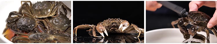 秋季大闸蟹实拍清蒸烹饪新鲜活螃蟹掰开蟹膏蟹黄水产美食视频素材