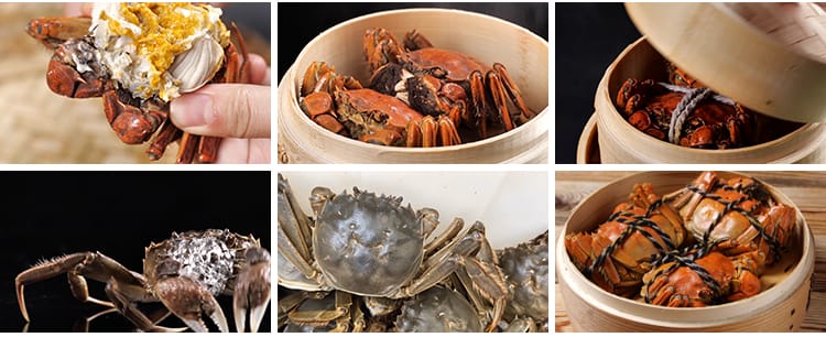 秋季大闸蟹实拍清蒸烹饪新鲜活螃蟹掰开蟹膏蟹黄水产美食视频素材