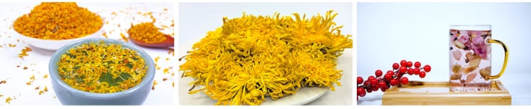 花茶菊花茶养生茶文化冲泡茶广告实拍宣传片自媒体剪辑短视频素材