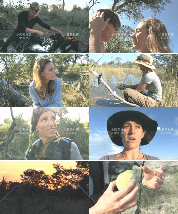 荒野求生纪录片独闯荒野中字1080P自媒体电影解说抖音短视频素材