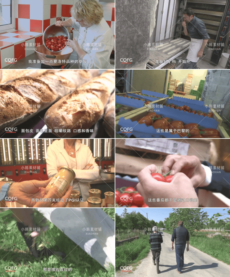 美食纪录片舌尖上的法国全10集中视频自媒体解说高清剪辑视频素材
