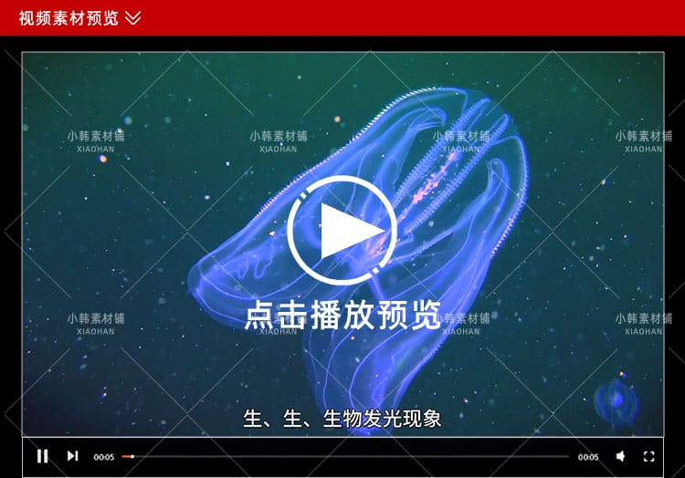 野生动物纪录片怪诞星球全12集中视频自媒体解说高清剪辑视频素材