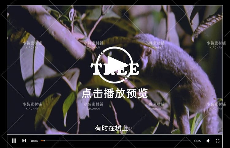 野生动物纪录片怪诞星球全12集中视频自媒体解说高清剪辑视频素材