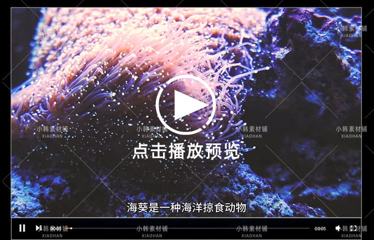 野生动物纪录片怪诞星球全12集中视频自媒体解说高清剪辑视频素材