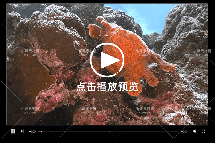 野生动物纪录片怪诞星球全12集中视频自媒体解说高清剪辑视频素材