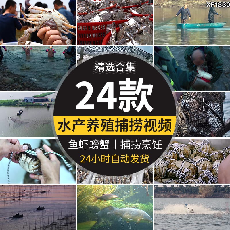 水产螃蟹大闸蟹养殖鱼塘网捕捞抓鱼草鱼养鱼河塘龙虾海鲜视频素材