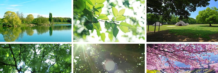 春天阳光明媚春暖花开桃花万物复苏发芽柳树嫩芽小鸟春雨视频素材