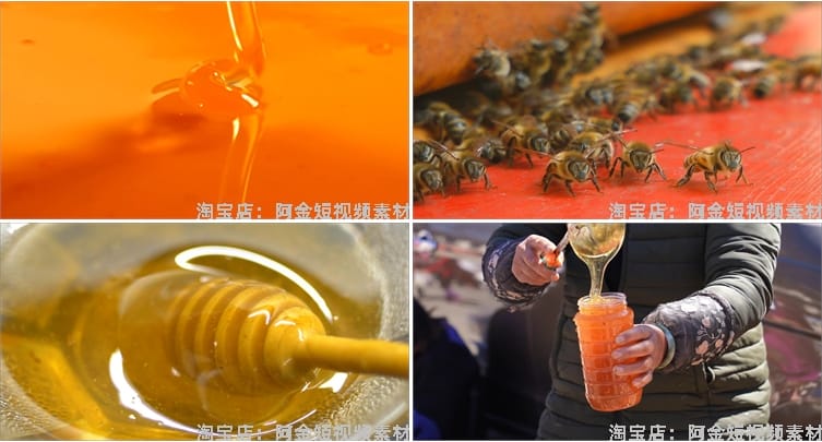 蜜蜂人养蜂蜂巢养殖采蜂蜜蜂箱抖音短视频自媒体高清实拍素材剪辑