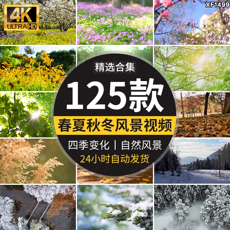 四季植物天气变幻变化季节交替春夏秋冬季抖音高清剪辑短视频素材