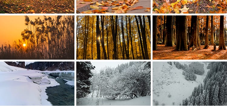 四季植物天气变幻变化季节交替春夏秋冬季抖音高清剪辑短视频素材