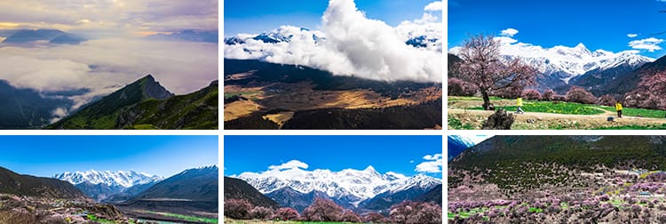 西藏林芝风光桃花节波密桃花沟藏族村落风景旅游景点高清视频素材