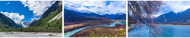 西藏林芝风光桃花节波密桃花沟藏族村落风景旅游景点高清视频素材